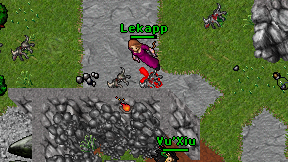 Lekapp on screen