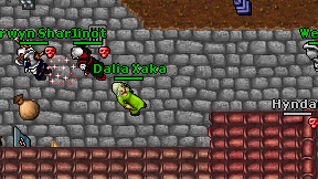 Dalia Xaka on screen