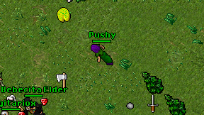 Pushy on screen