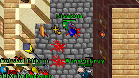 Nisakum on screen