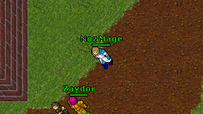 Noz Mage on screen