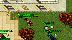Druid'Riton on screen