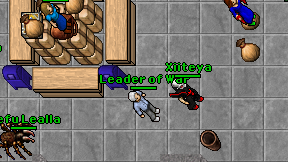Leader of War on screen