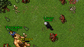 Livar on screen
