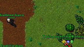 Gallene Garo on screen
