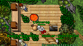Leiserop on screen