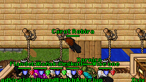 Carot Robira on screen