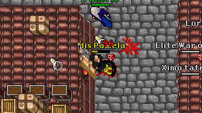 Mis Pamela on screen