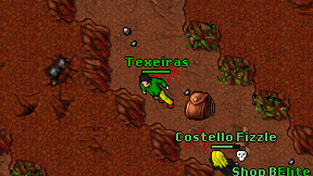Texeiras on screen