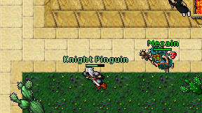 Knight Pinguin on screen