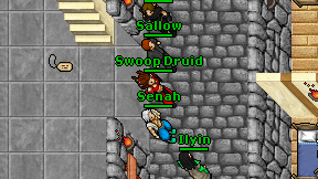 Swoop Druid on screen