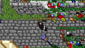Yagamikinkin on screen