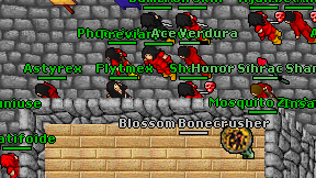 Flytmex on screen