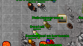 Hubciopogromca on screen