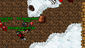 Dragonauv on screen