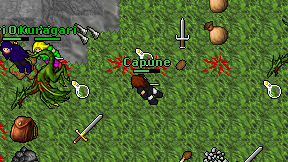 Capune on screen