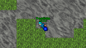 Yoplido on screen