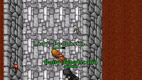 Lady-Podpaska on screen