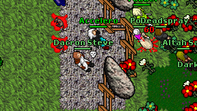 Dacron Steve on screen