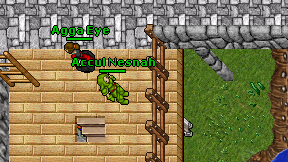 Accul Nesnah on screen