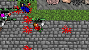 Rebaw on screen