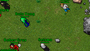 Seismo on screen