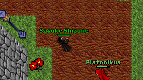 Sasuke Shizune on screen