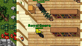 Royal Goora on screen