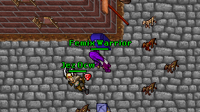Femix Warrior on screen