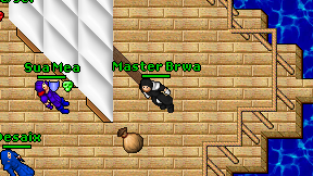 Master Brwa on screen