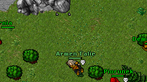 Xyrnia on screen