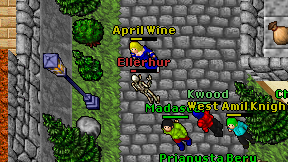 Ellerhur on screen