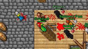 Everad on screen