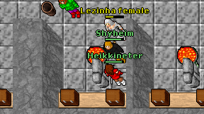 Heikkineter on screen