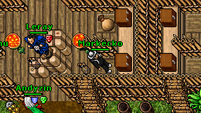 Markecko on screen