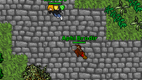 Aphi Brodir on screen