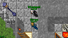 Sirex on screen
