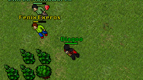 Diagoo on screen