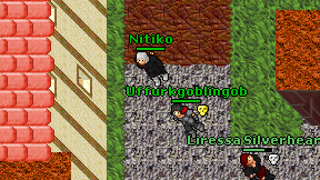 Nitiko on screen