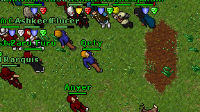 Qety on screen