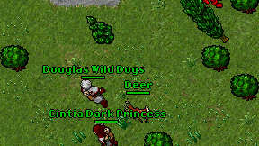 Douglas Wild Dogs on screen