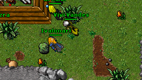 Ivalonari on screen