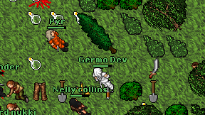 Germo Dev on screen