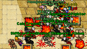 Lady Agnis on screen