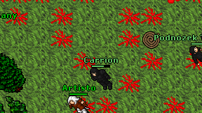 Carrion on screen