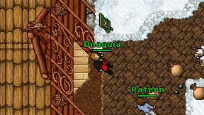 Dnaguia on screen