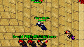 Naviush on screen