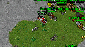 Viheg on screen