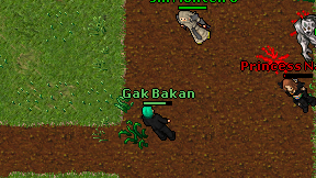 Gak Bakan on screen