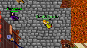 Druid Domir on screen